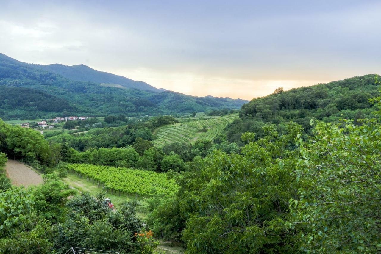 Cebron Family Estate Otel Branik Dış mekan fotoğraf