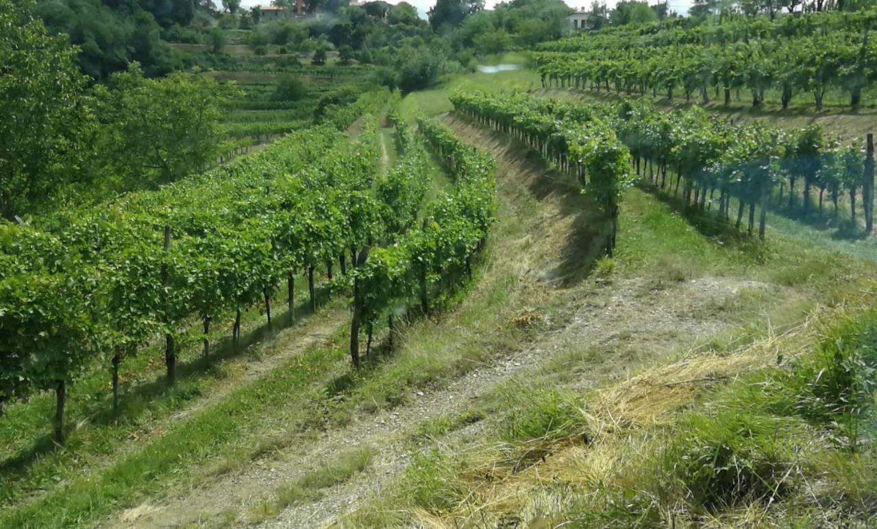 Cebron Family Estate Otel Branik Dış mekan fotoğraf