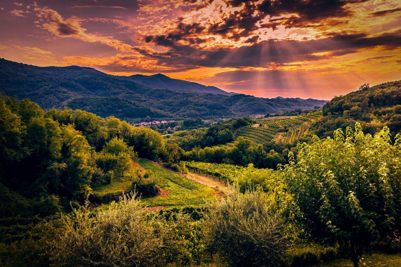 Cebron Family Estate Otel Branik Dış mekan fotoğraf